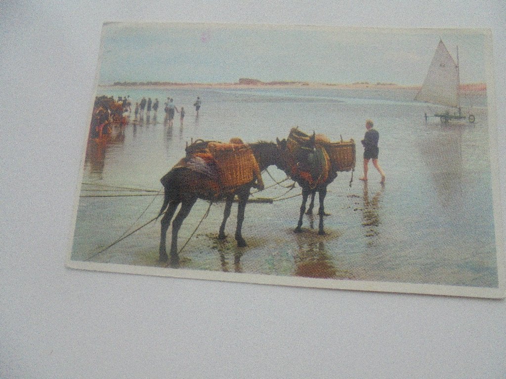 garnaal vissers - 10 postkaarten, Verzenden, 1940 tot 1960, Gelopen, West-Vlaanderen