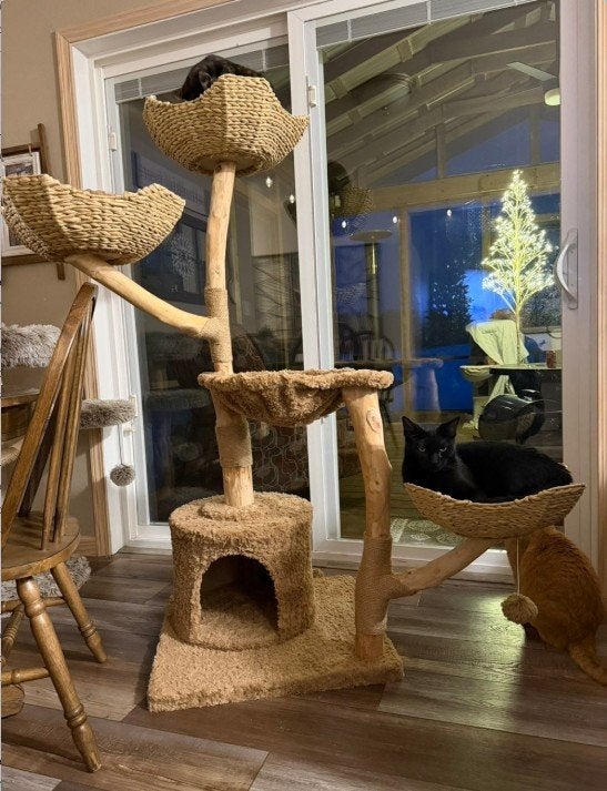 150cm Natuurlijke Houten Krabpaal – 3 Handgeweven Mandjes, Animaux & Accessoires, Enlèvement ou Envoi, Griffoir