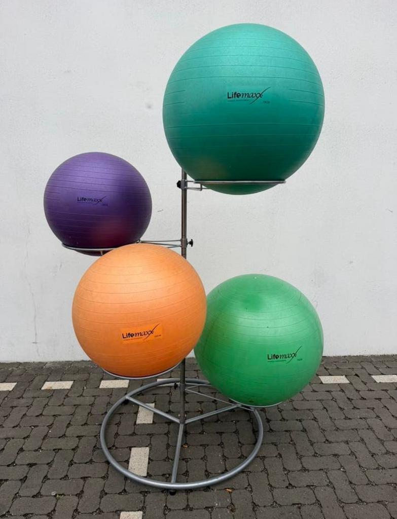 Lifemaxx set gym ballen, Ophalen of Verzenden, Zo goed als nieuw
