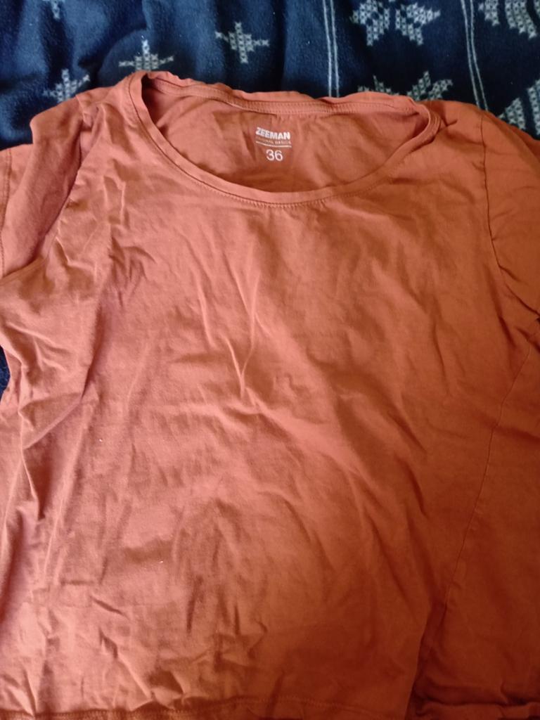 Bronze T-shirt, Kleding | Dames, T-shirts, Ophalen of Verzenden, Maat 36 (S)