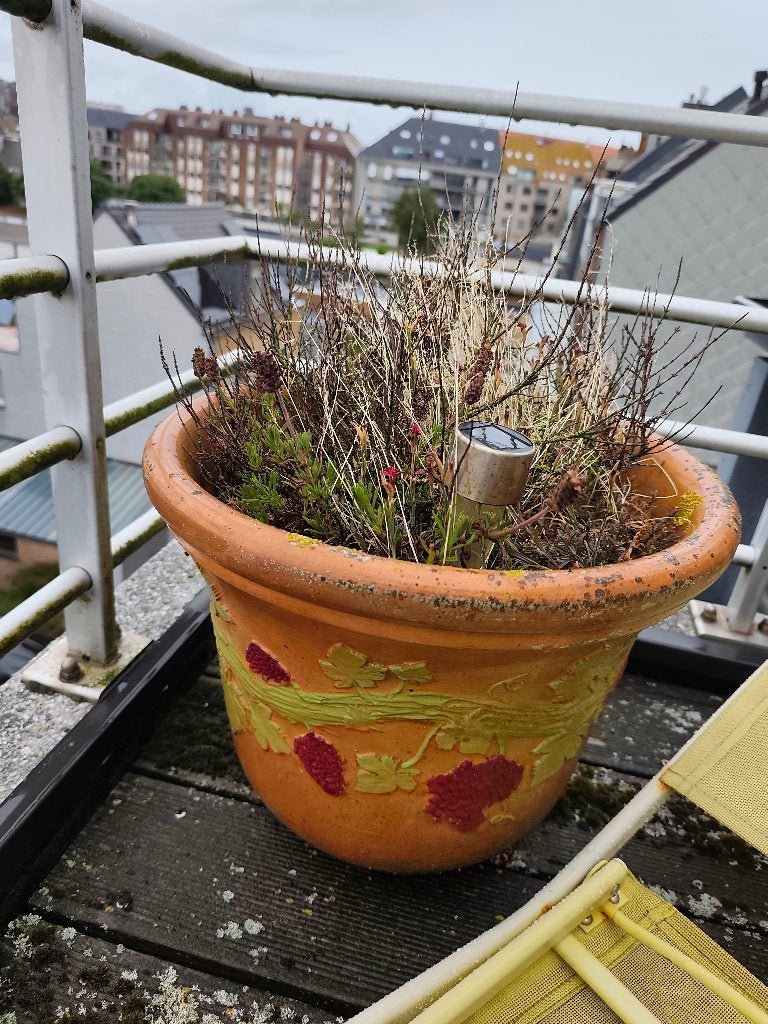 Terracotta bloempot, Enlèvement, Terracotta