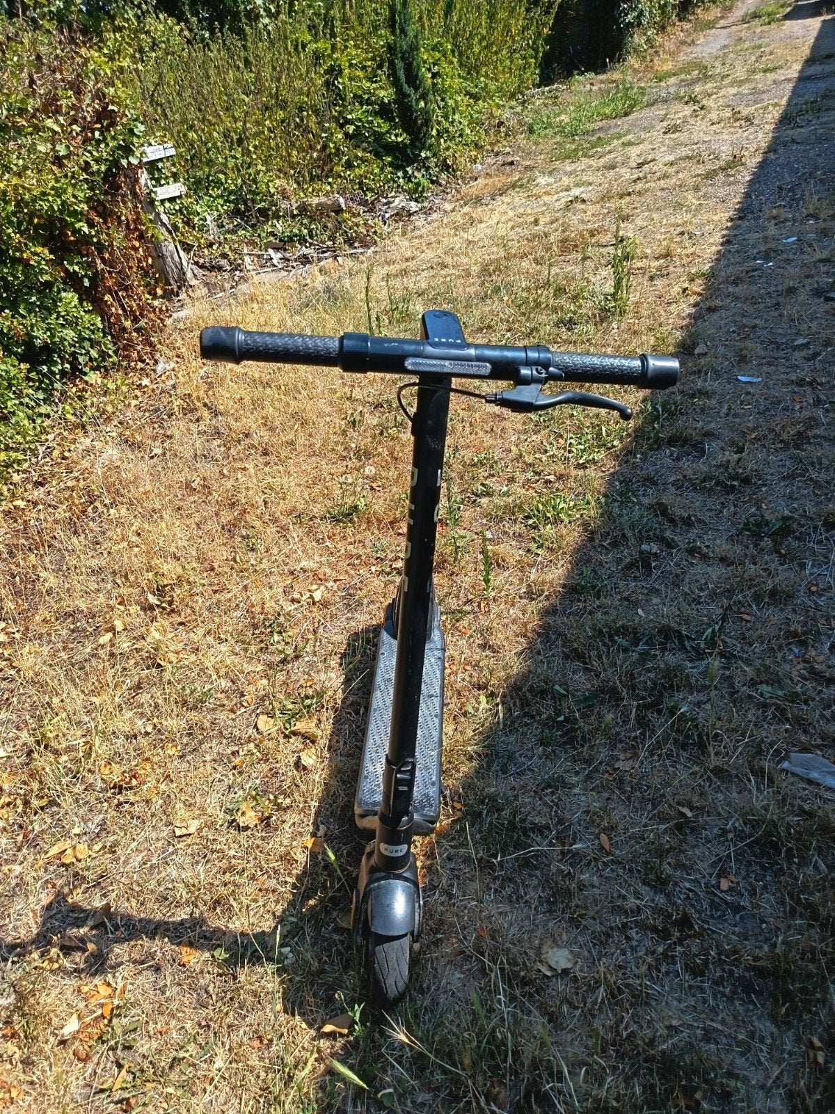 Pure Air Elektrische Step - Zwart, Ophalen