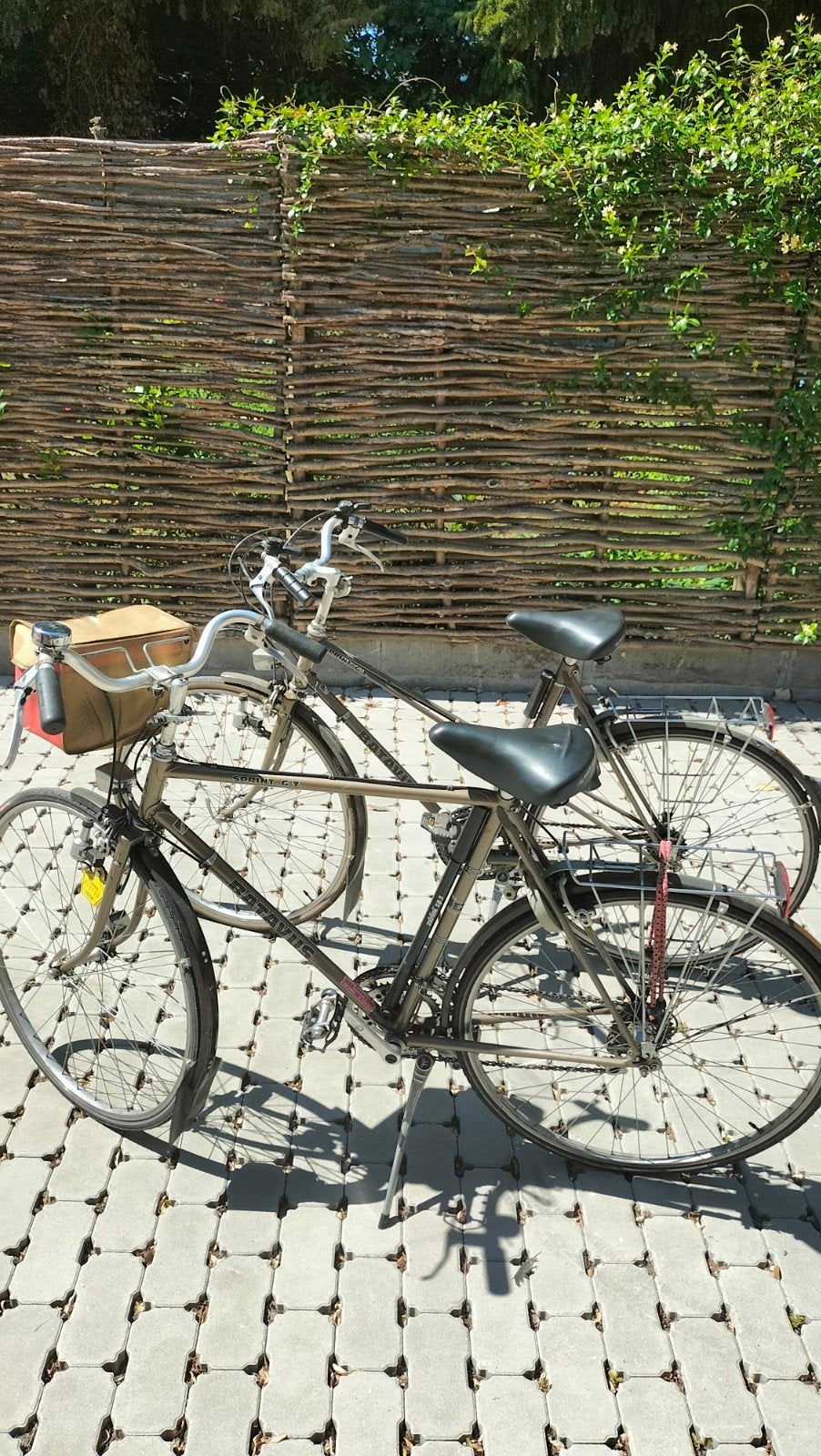 Vintage Batavus Sprint GT, Vélos & Vélomoteurs, Enlèvement, Utilisé, Batavus