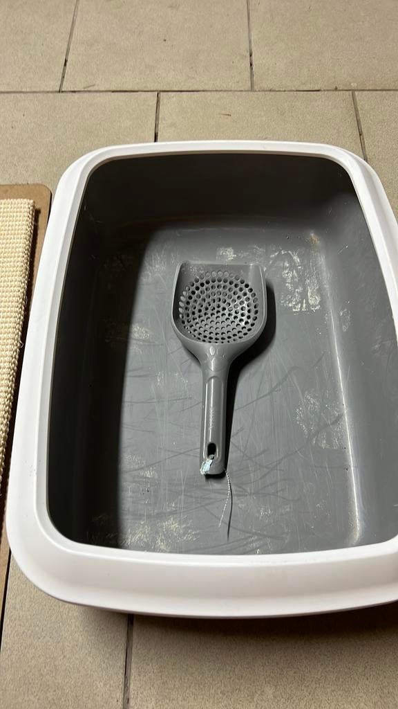 Tout pour le chat, Enlèvement, Comme neuf