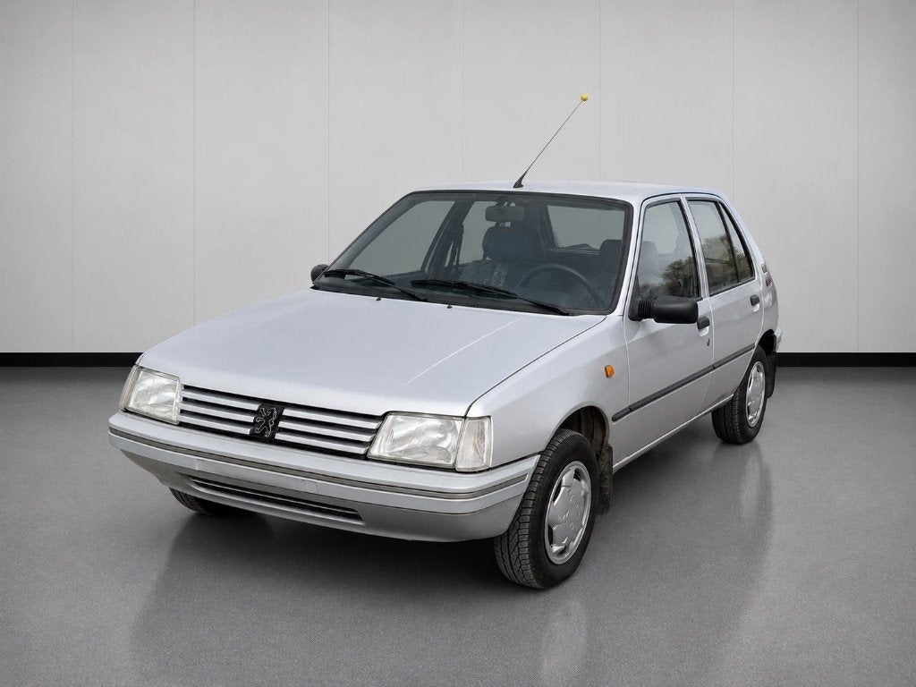 Peugeot 205, Autos, Peugeot, Euro 2, Achat, 880 kg, Entreprise