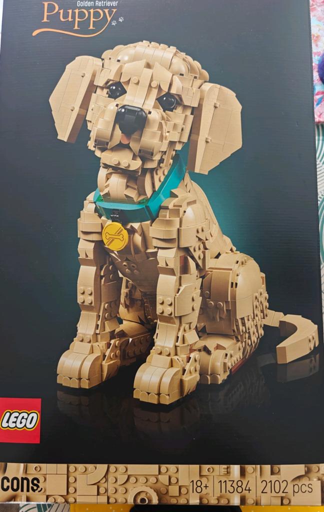 Lego Icons, Enlèvement ou Envoi, Lego, Icons