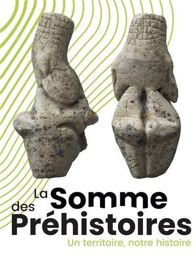 La Somme des Préhistoires / Un territoire, notre histoire, Ophalen of Verzenden, Gelezen