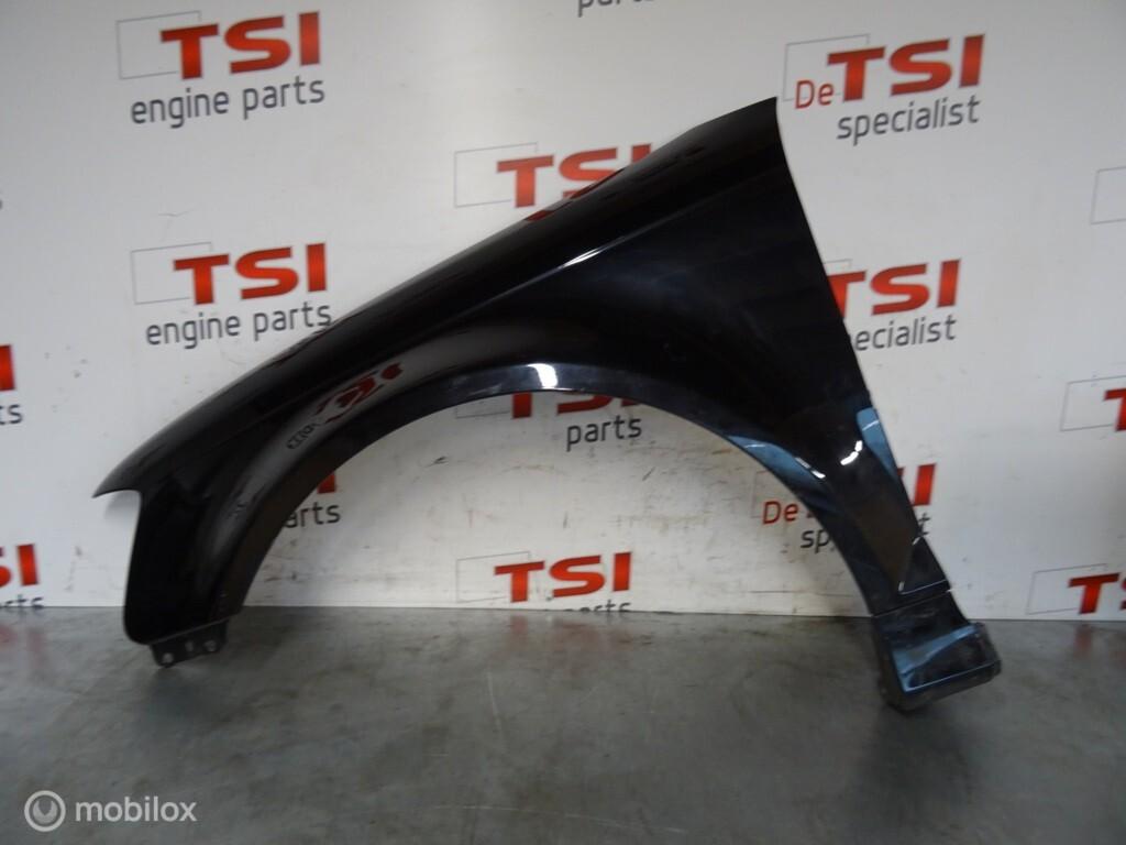 Orig. Carbon Zijscherm Links 8P0821021B Audi RS3 8P LZ9Y, Audi, Audi, Enlèvement, Utilisé
