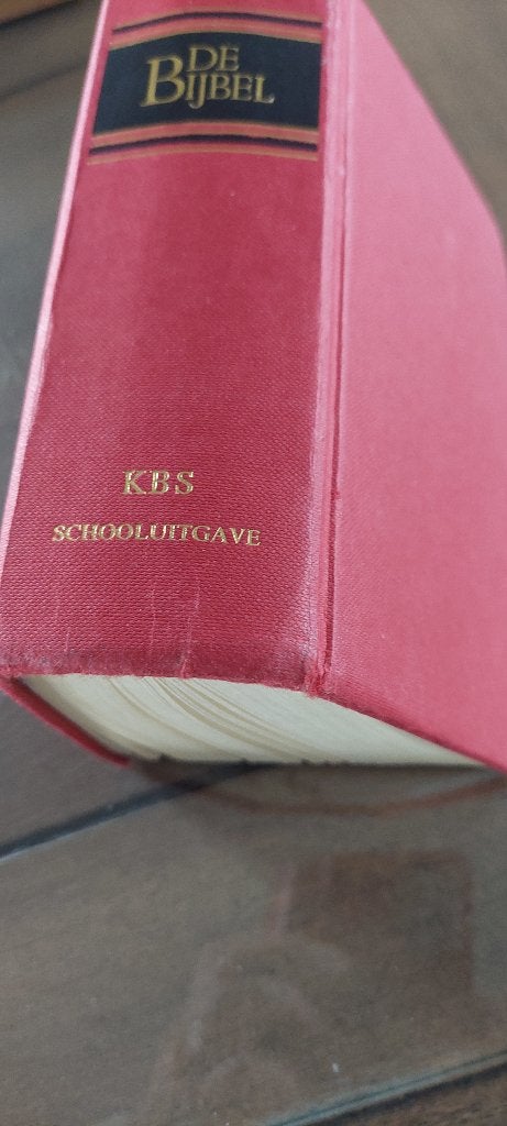 Bijbel, Livres, Enlèvement, Comme neuf, Christianisme | Catholique