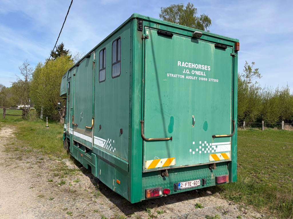 Camion à chevaux, Achat, Iveco, Boîte manuelle, Diesel