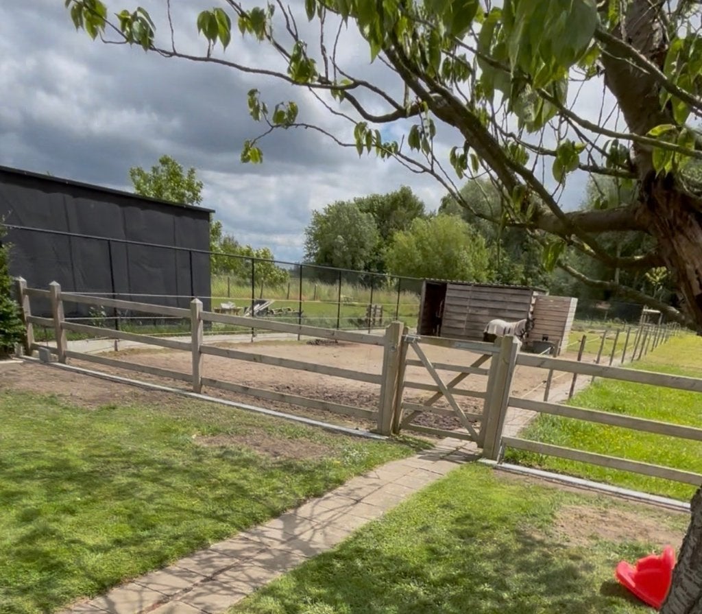 Paardenomheining 3 ligger groen, Ophalen, Met poort, Zo goed als nieuw, Tuinhek