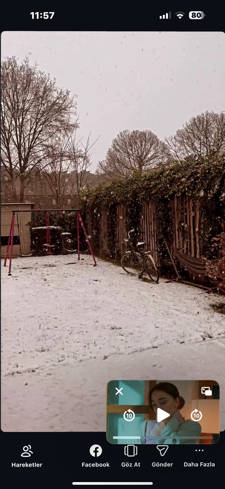Schommel, Dieren en Toebehoren