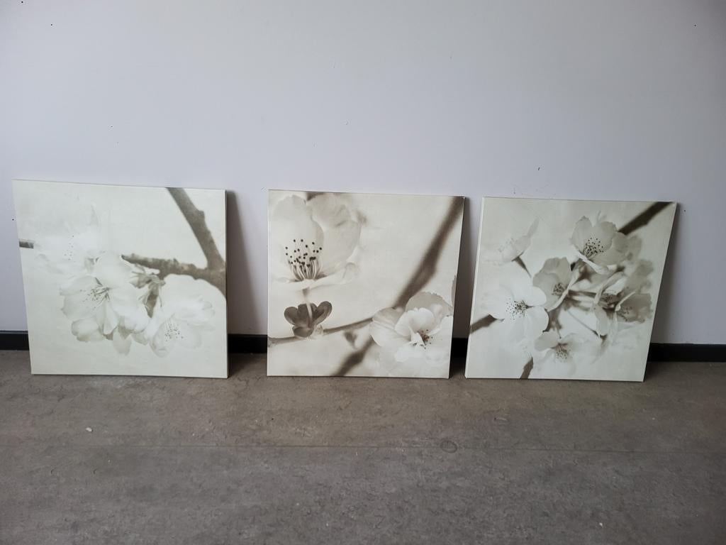 Canvas kader, Ophalen