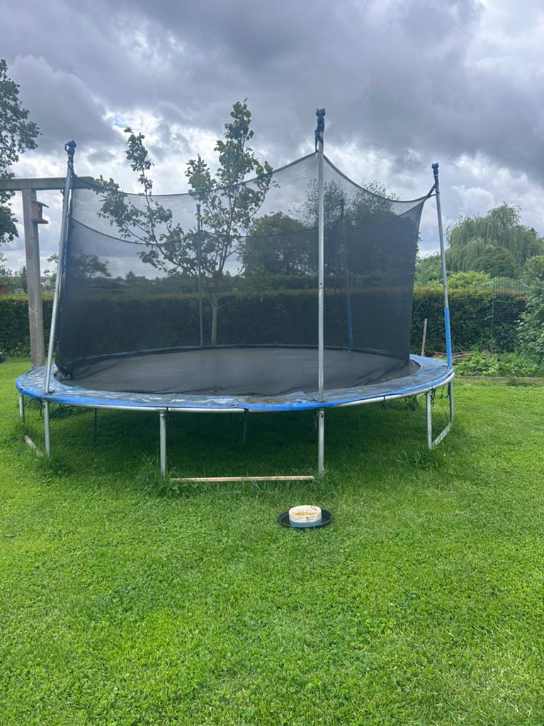 Trampoline met veiligheidsnet, Kinderen en Baby's, Speelgoed | Buiten | Trampolines, Ophalen, Gebruikt