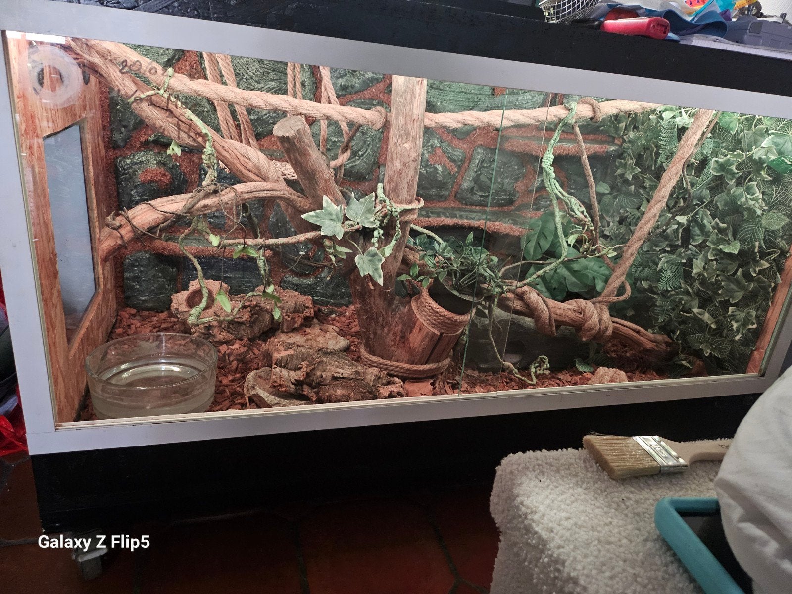 Terrarium 120 60 60, Animaux & Accessoires