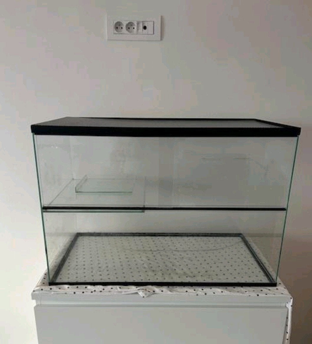 Degoe kooi/ gerbilarium, Enlèvement