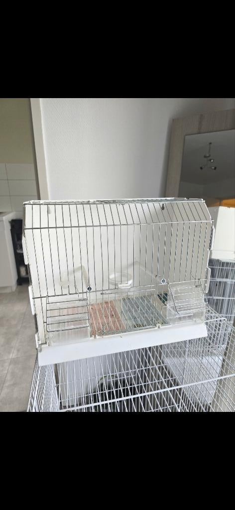 Cage oiseaux, Enlèvement ou Envoi, Neuf