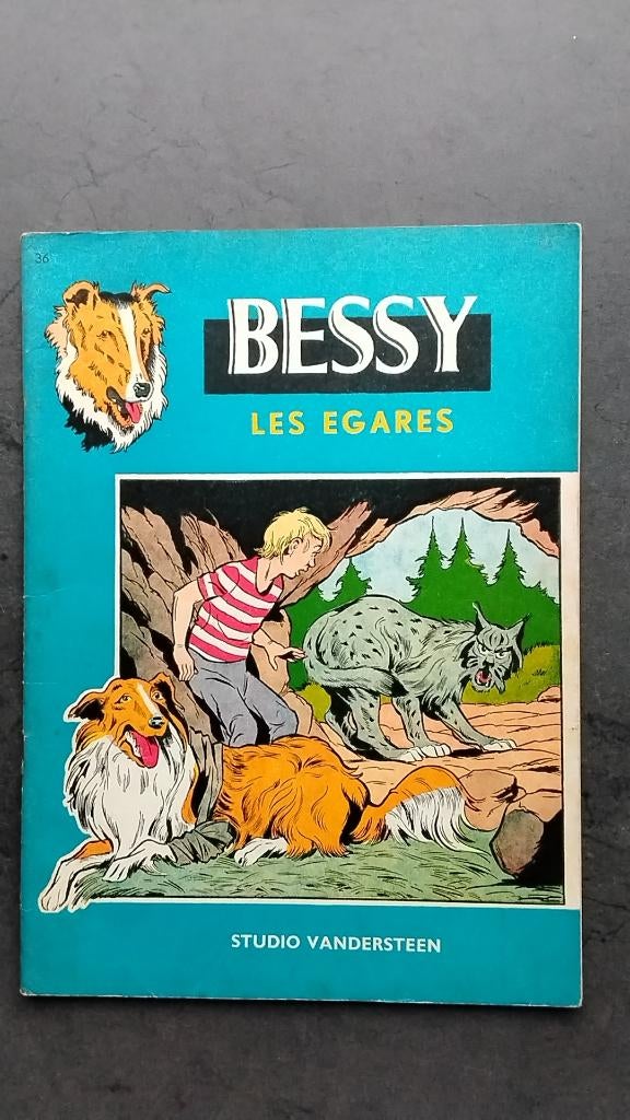 Les égarés de 1962. français, Une BD, Enlèvement ou Envoi, Utilisé