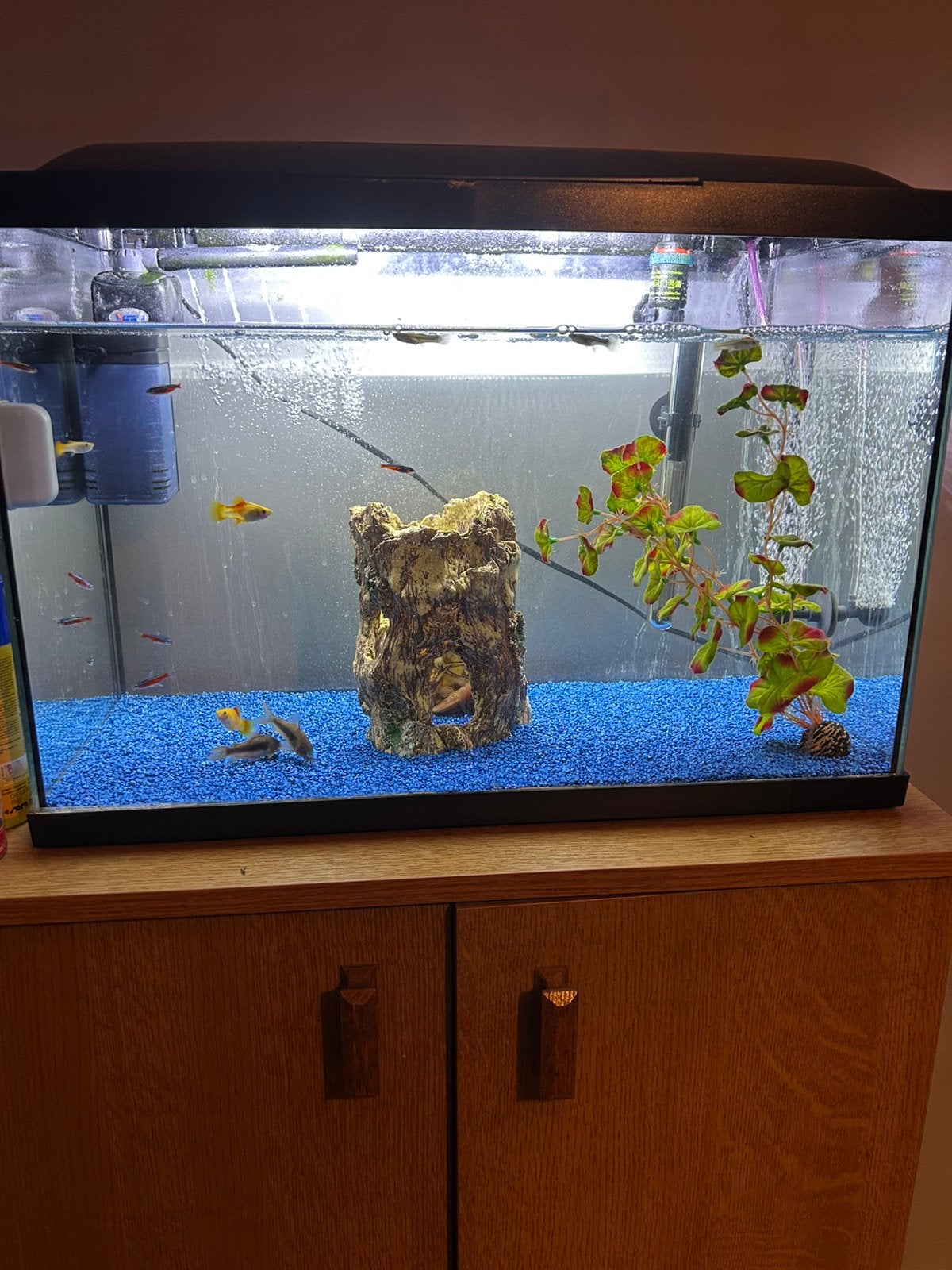 Aquarium te koop, Dieren en Toebehoren, Ophalen, Zo goed als nieuw
