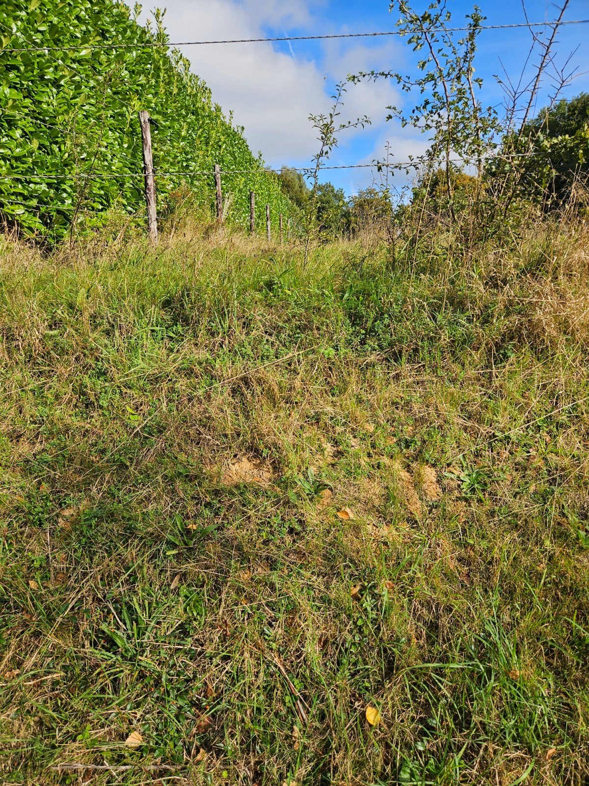 Muttererde-Terre végétale-Teelaarde | 40m3, Klasse 1, Jardin & Terrasse, Terre & Fumier, Enlèvement