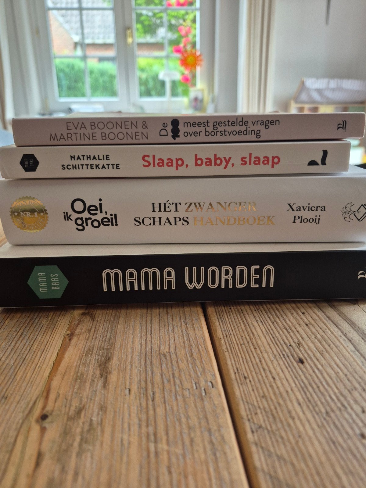 Boeken zwangerschap moederschap gratis meenemen, Enlèvement