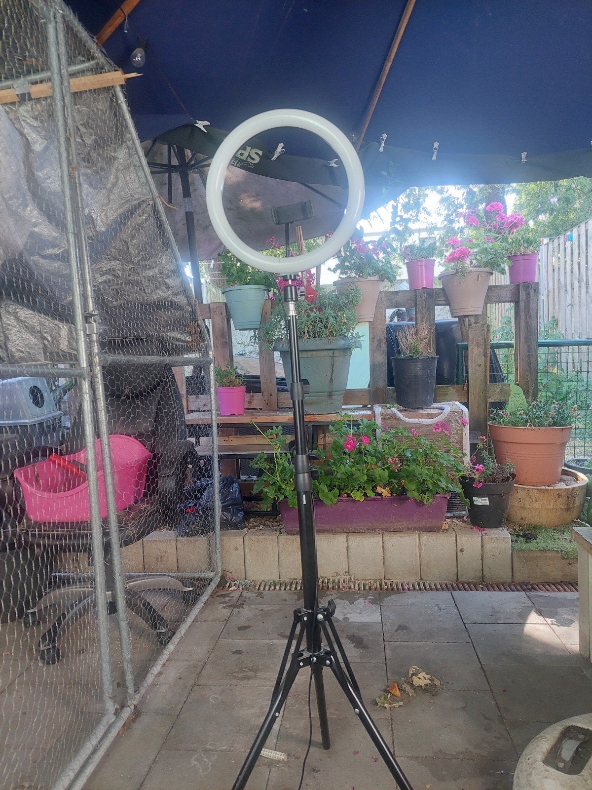 Ring lamp voor tik tok filmpjes, Audio, Tv en Foto, Fotografie | Fotostudio en Toebehoren, Ophalen of Verzenden