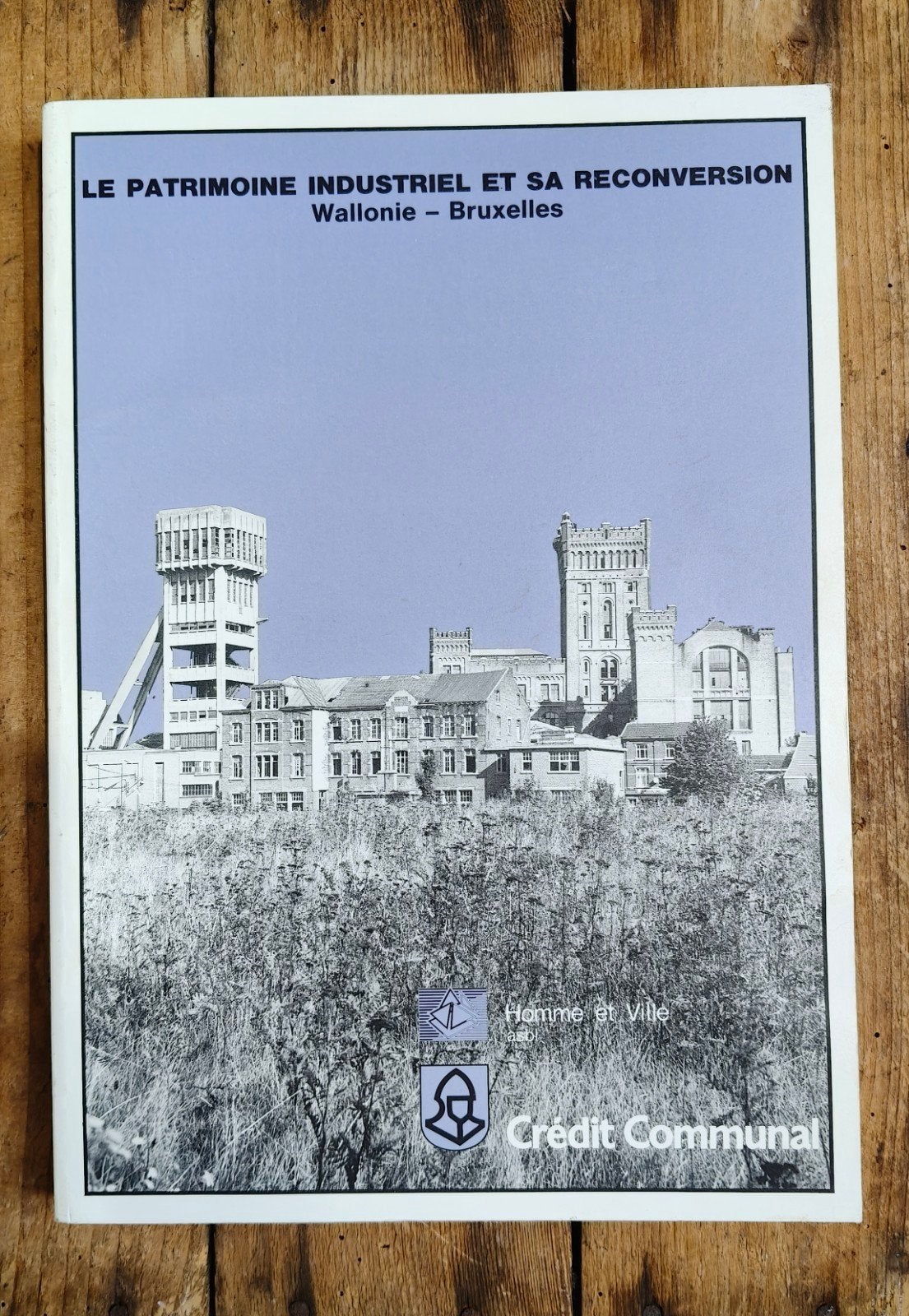 Boek/catalogus: Industrial Heritage and its Reconvers, Ophalen of Verzenden