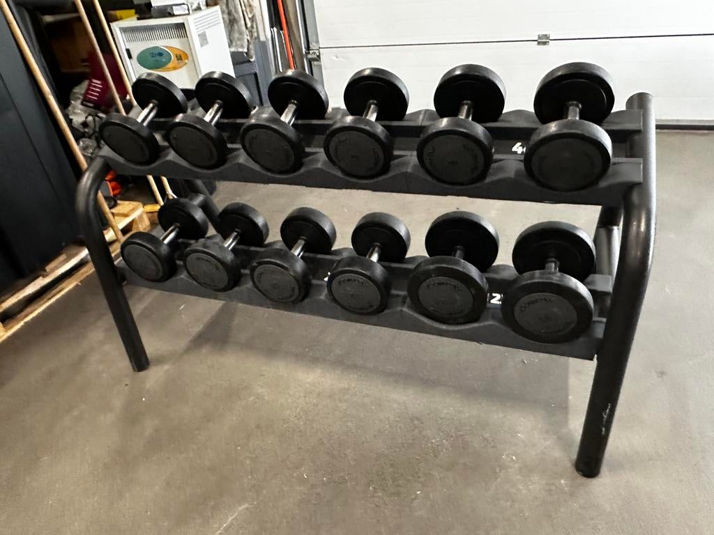 Technogym Dumbells 4kg t/m 14kg + Technogym Opbergrek, Sports & Fitness, Équipement de fitness, Enlèvement, Utilisé, Haltère