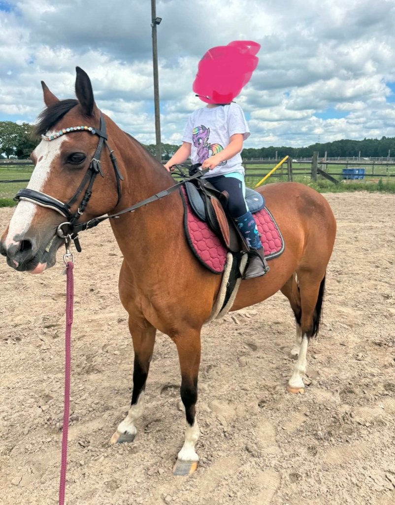 Brave kinderpony, Merrie, M