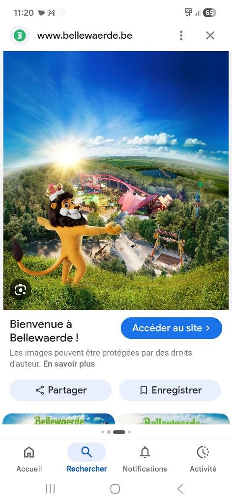 Ticket bellewaerde, Tickets & Billets, Trois personnes ou plus