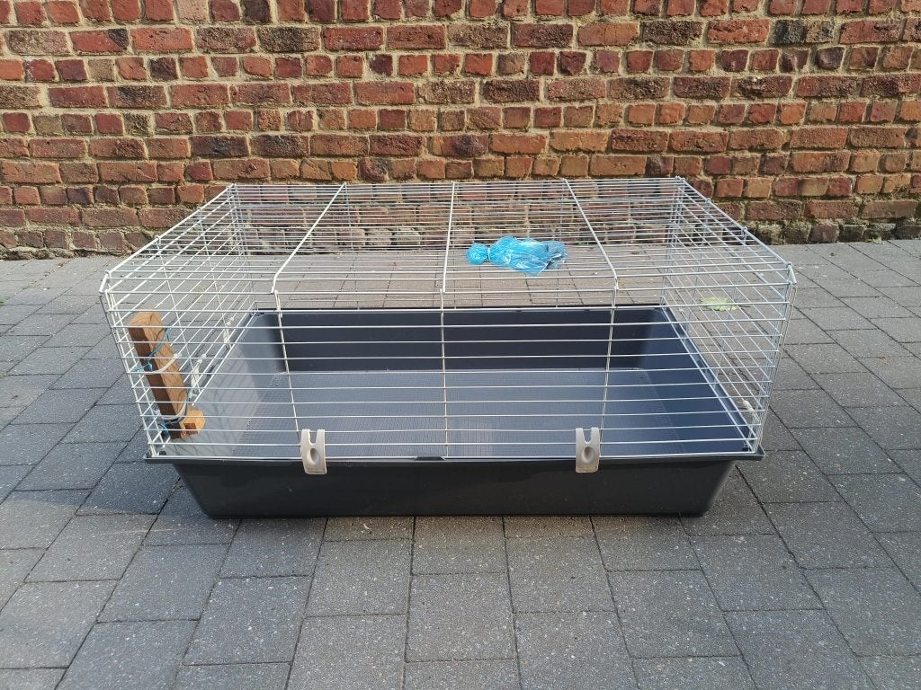 Cavia of (dwerg)konijnenkooi, Dieren en Toebehoren, Ophalen, Rat, Kooi, Gebruikt