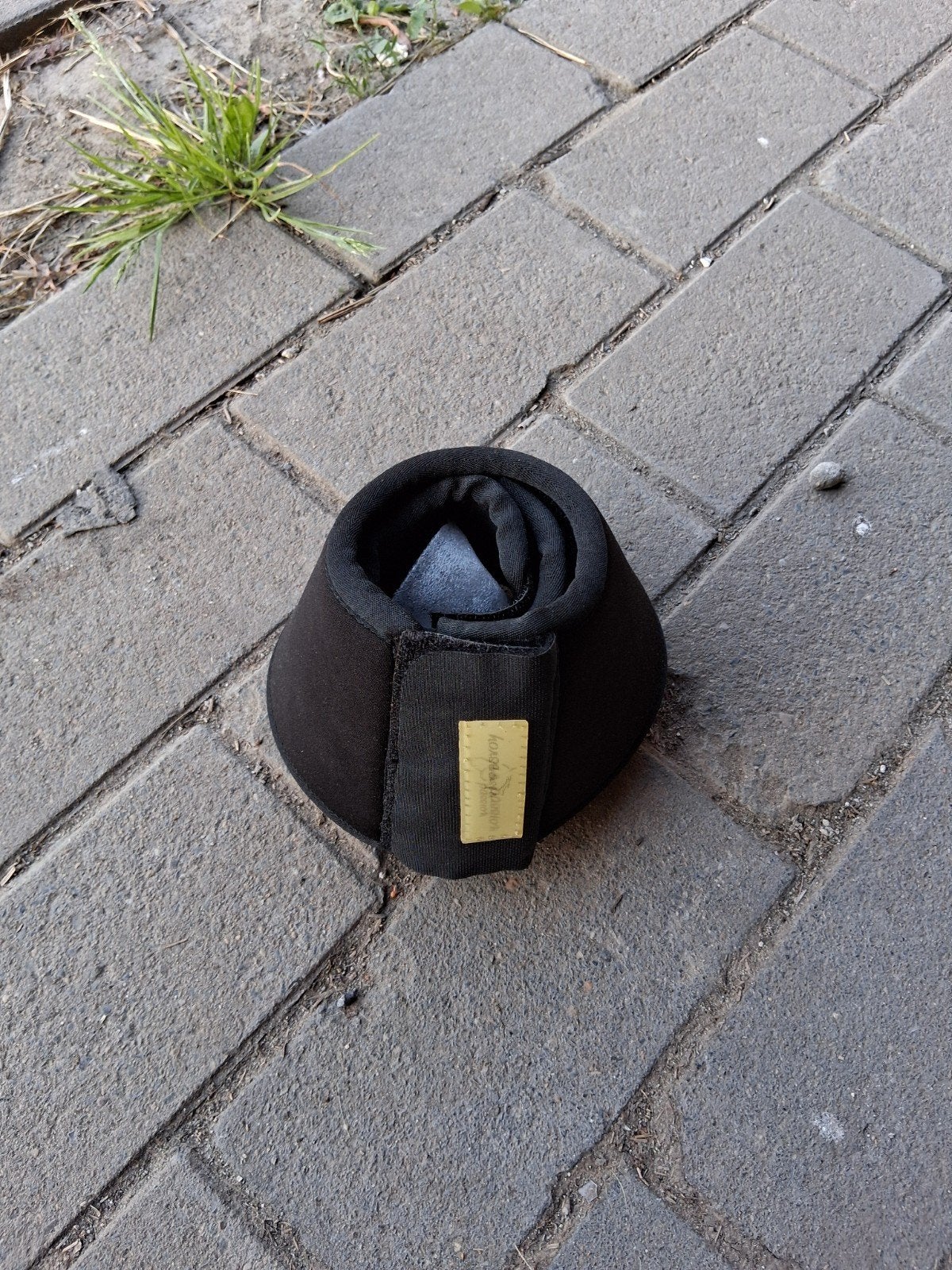 Springschoenen, Dieren en Toebehoren, Springschoenen, Overige merken, Nieuw, Springen