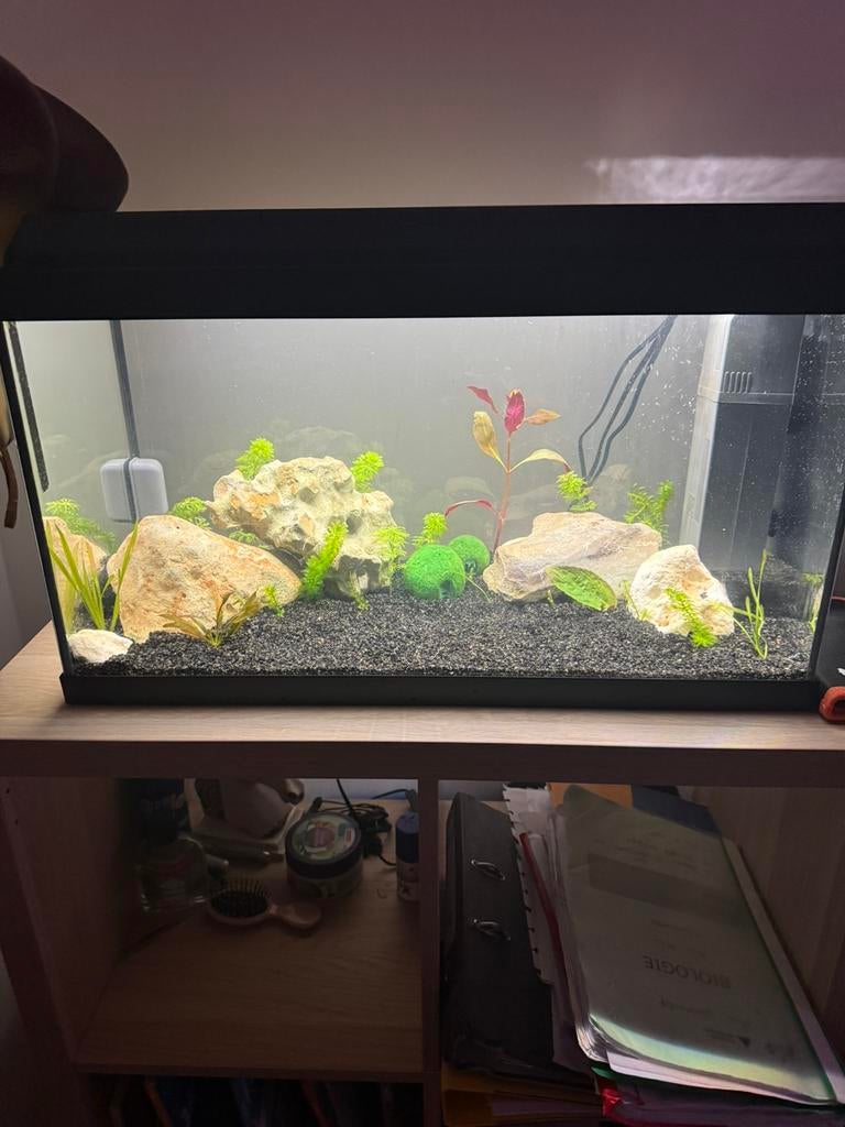 Aqarium te koop, Dieren en Toebehoren, Ophalen, Zo goed als nieuw, Leeg aquarium, Juwel