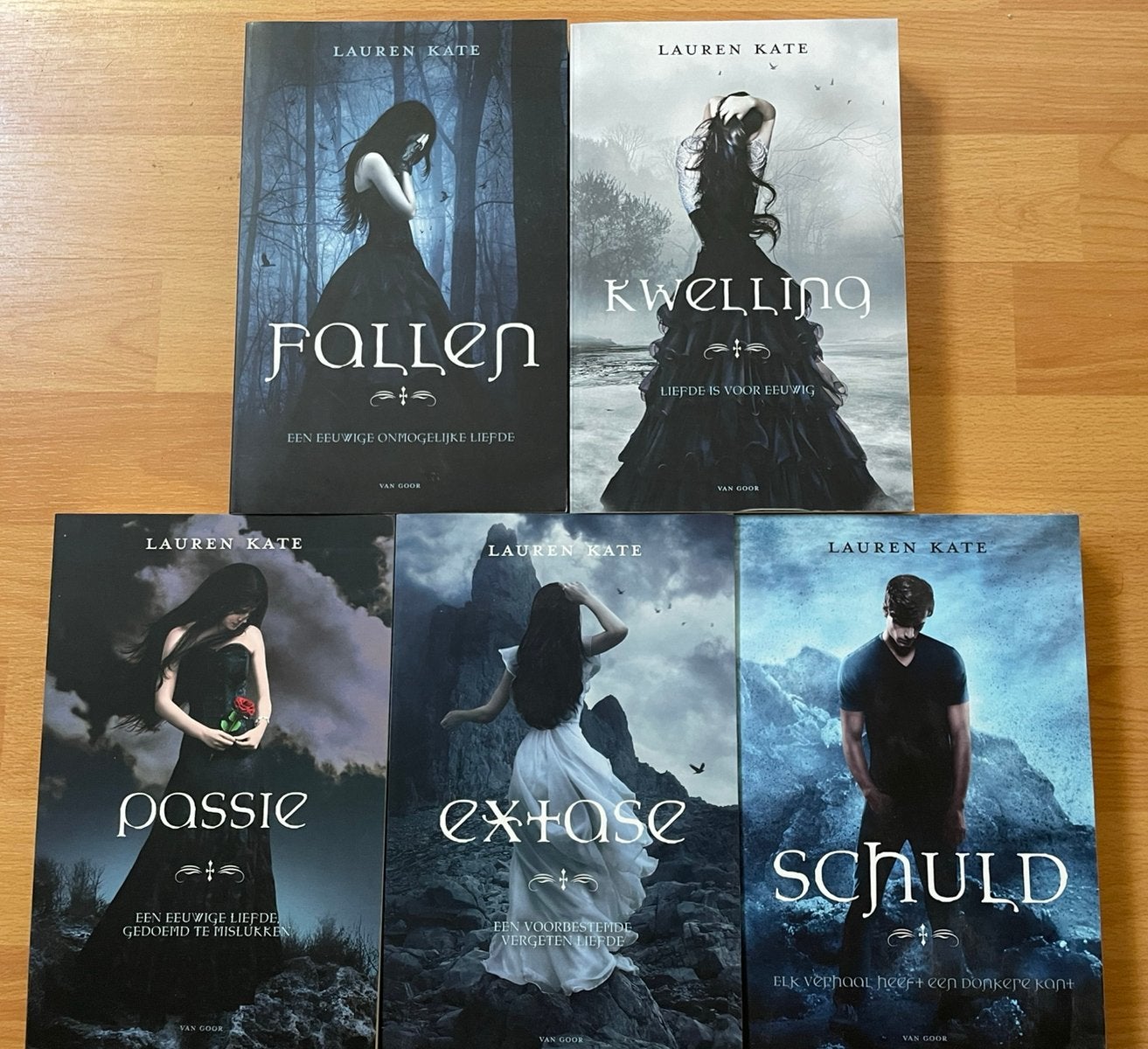 Fallen reeks - Lauren Kate, Boeken, Ophalen of Verzenden, Zo goed als nieuw