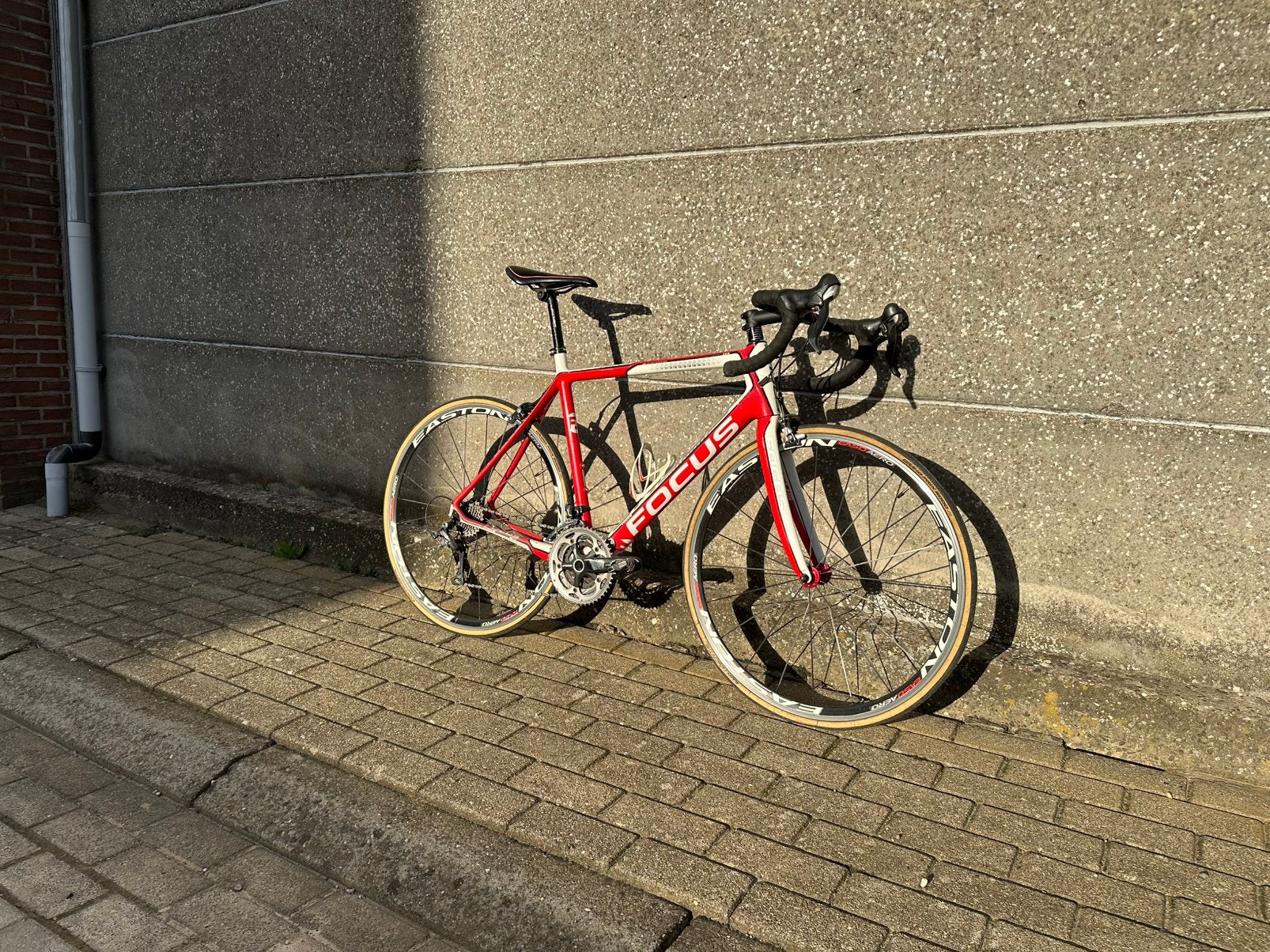 Focus Cayo Evo koersfiets, Enlèvement, Utilisé