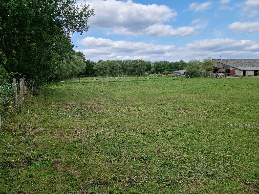 2 plaatsen vrij in Wolfsdonk, Dieren en Toebehoren, Stalling, 2 of 3 paarden of pony's