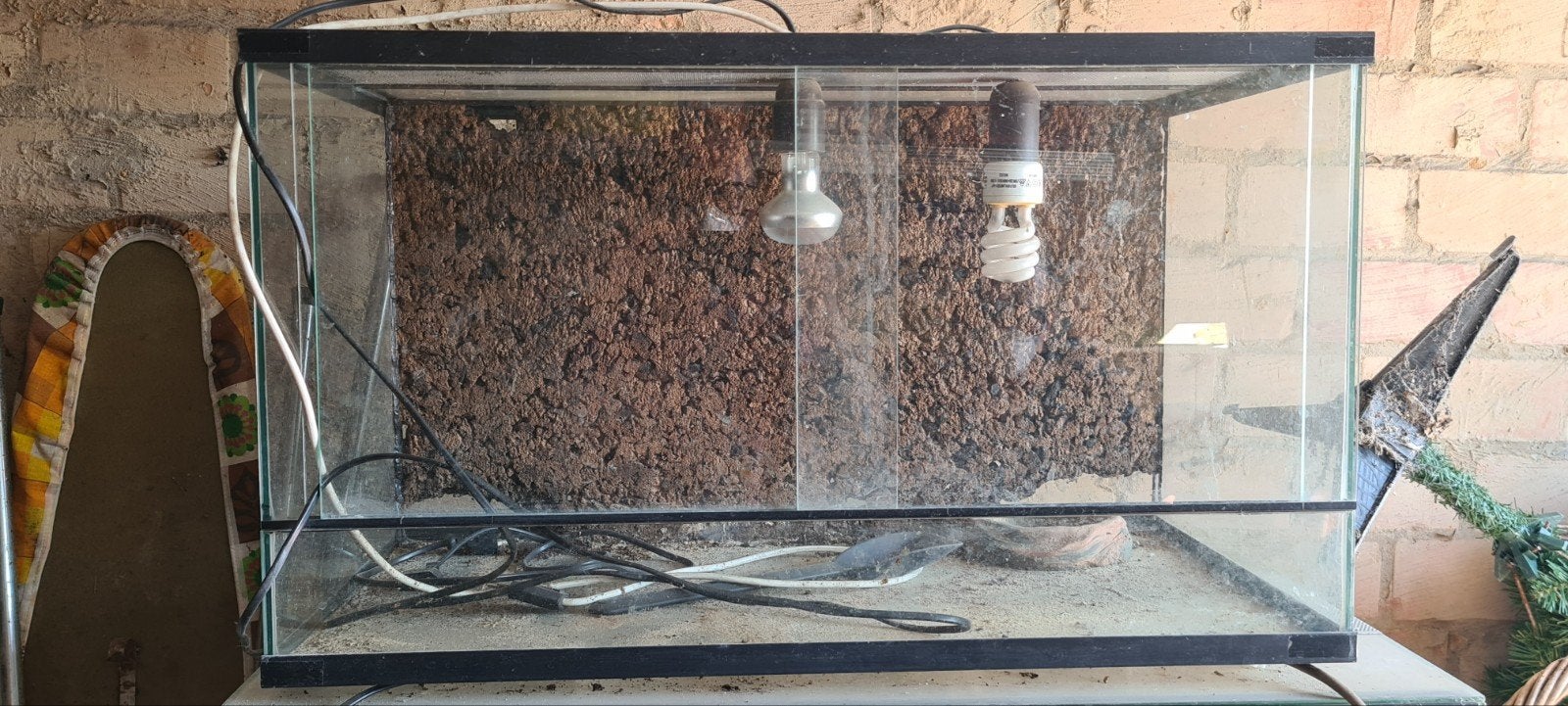 Terrarium, Ophalen, Gebruikt, Terrarium of Paludarium