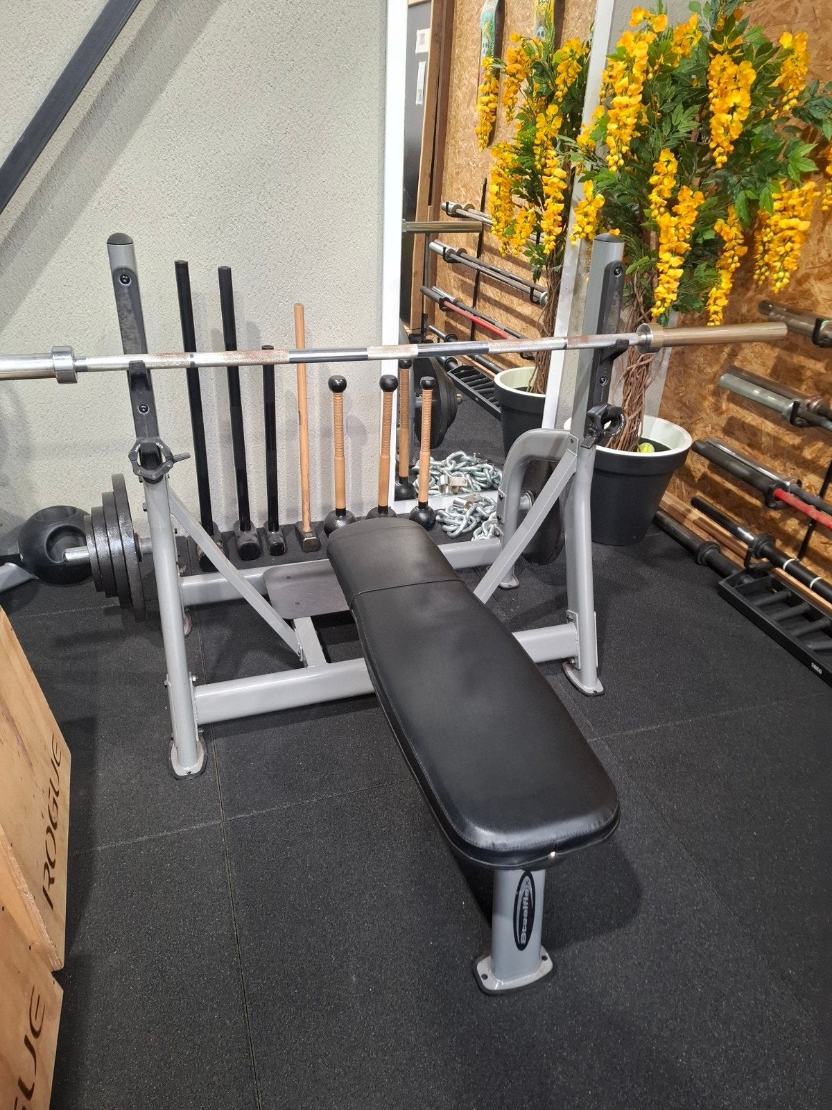 Steelflex Olympic Benchpress, Sport en Fitness, Ophalen