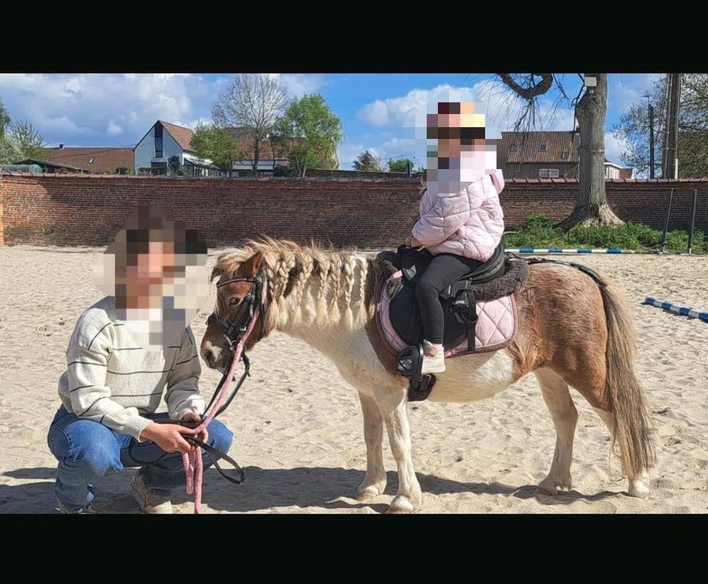 Lesje aangeboden / ruiter gezocht, Dieren en Toebehoren, Zadelmak, A pony (tot 1.17m), 3 tot 6 jaar, Recreatiepony