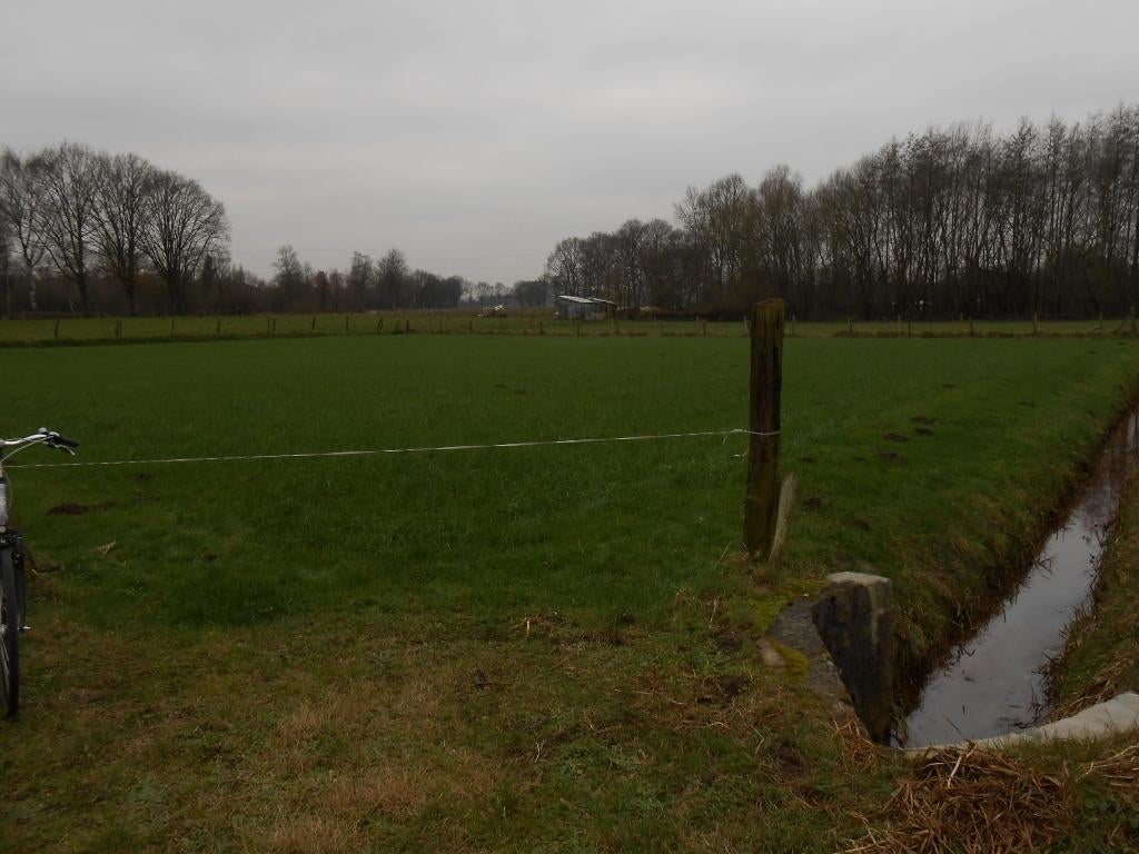 Mooi, rustig en gunstig gelegen weide/landbouwgrond in Geel, Immo, 2440 geel, Ventes sans courtier, 1500 m² ou plus