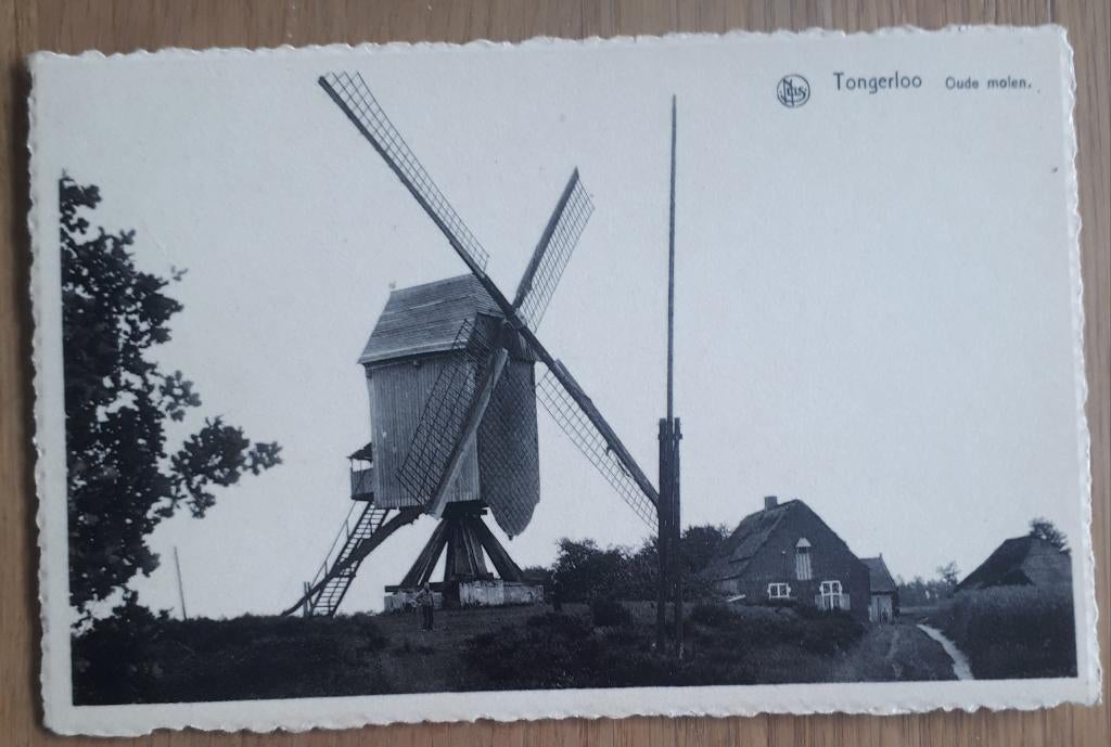 Tongerlo : Postkaart Oude molen /Wijnants Tongerlo, Verzenden, 1920 tot 1940, Ongelopen, Antwerpen