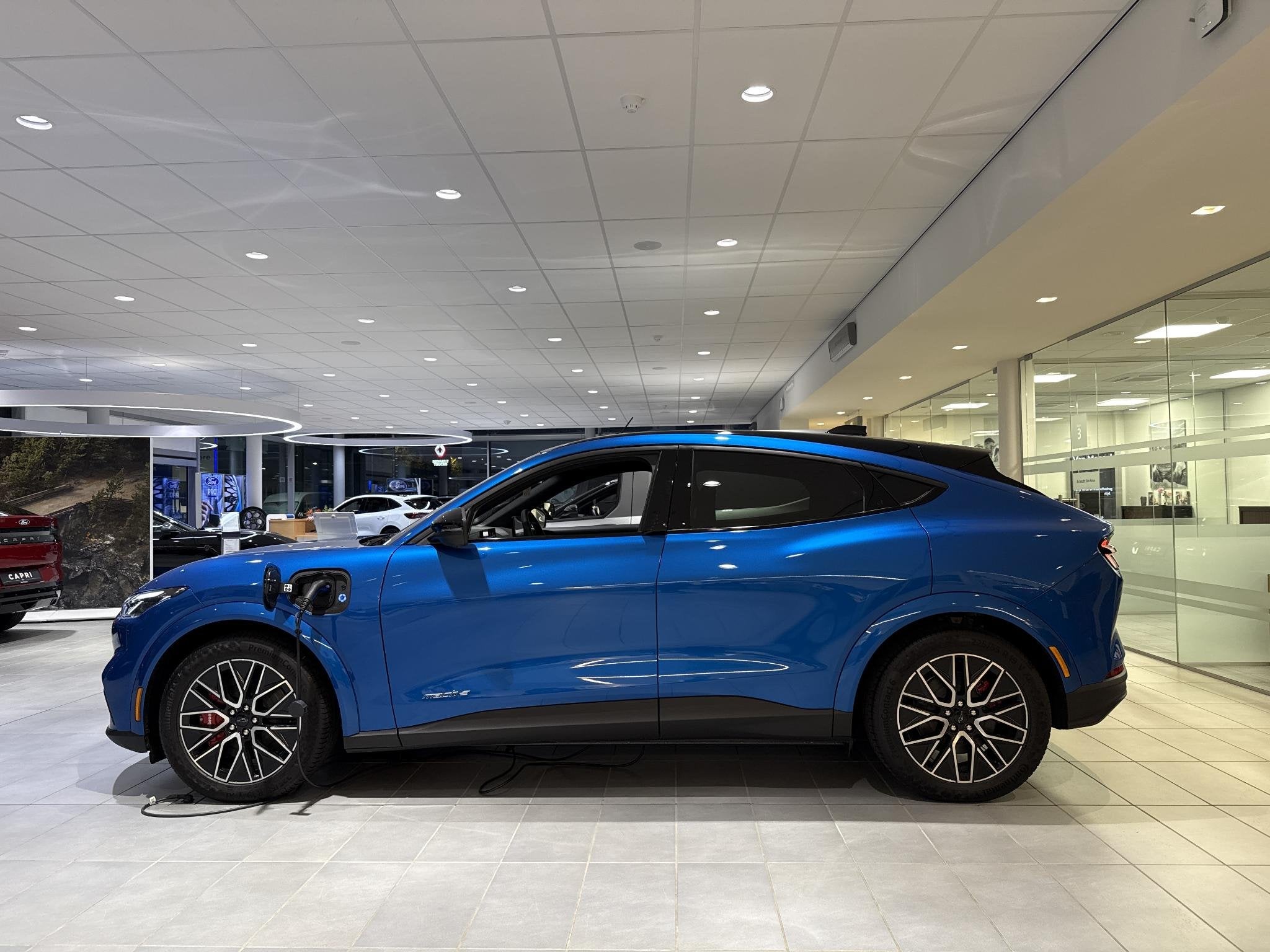 Ford Mustang Mach-E 88kWh 203kW Extended Range Premium RWD, Auto's, Automaat, 203 kW, Blauw, 600 km