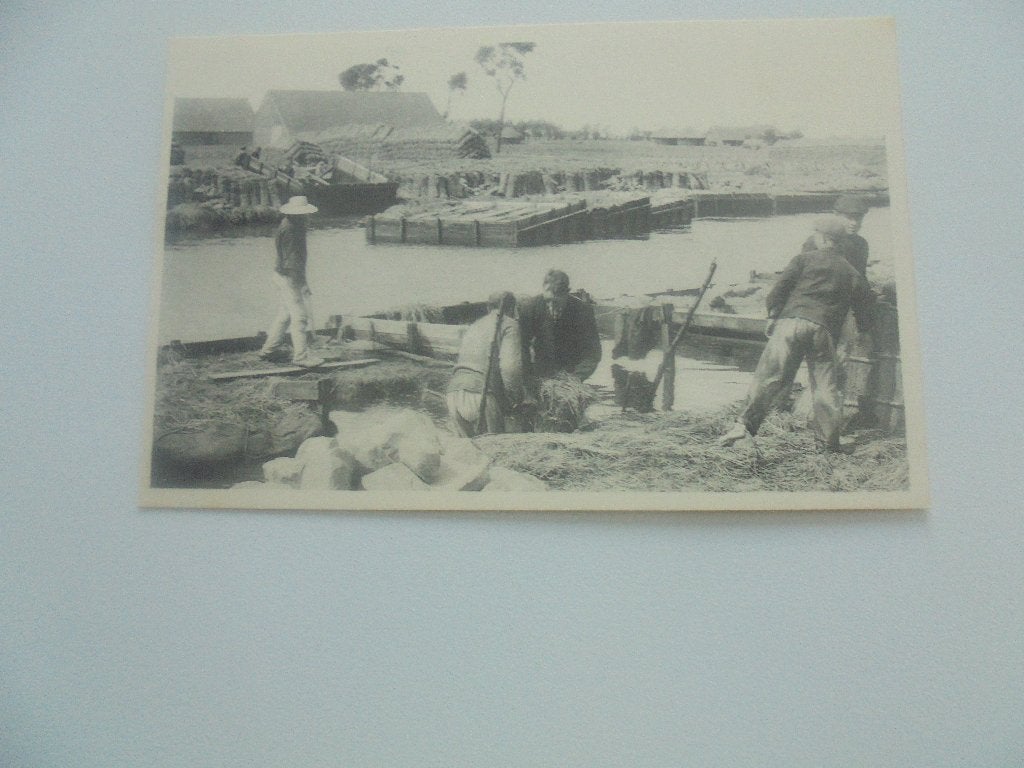 vlasteelt- het uit het watertrkken, Verzamelen, Postkaarten | België, Verzenden, 1920 tot 1940, Ongelopen, West-Vlaanderen