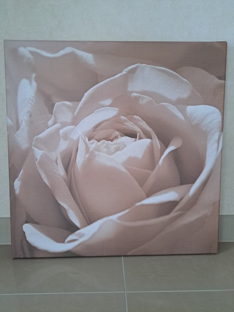 canvas roos, Ophalen, Gebruikt, 60 cm, Wandbord of Wandpaneel