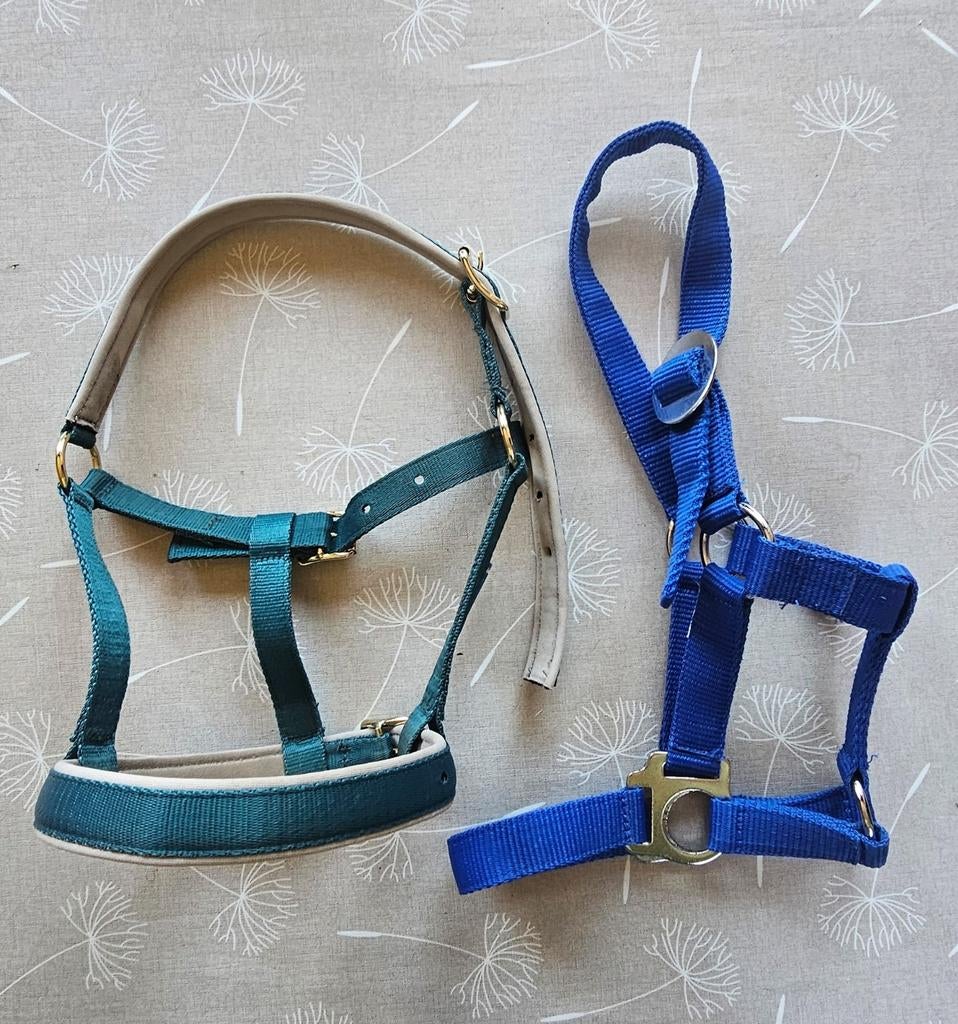 2 nieuwe halsters., Dieren en Toebehoren, Ophalen, Nieuw, Recreatie
