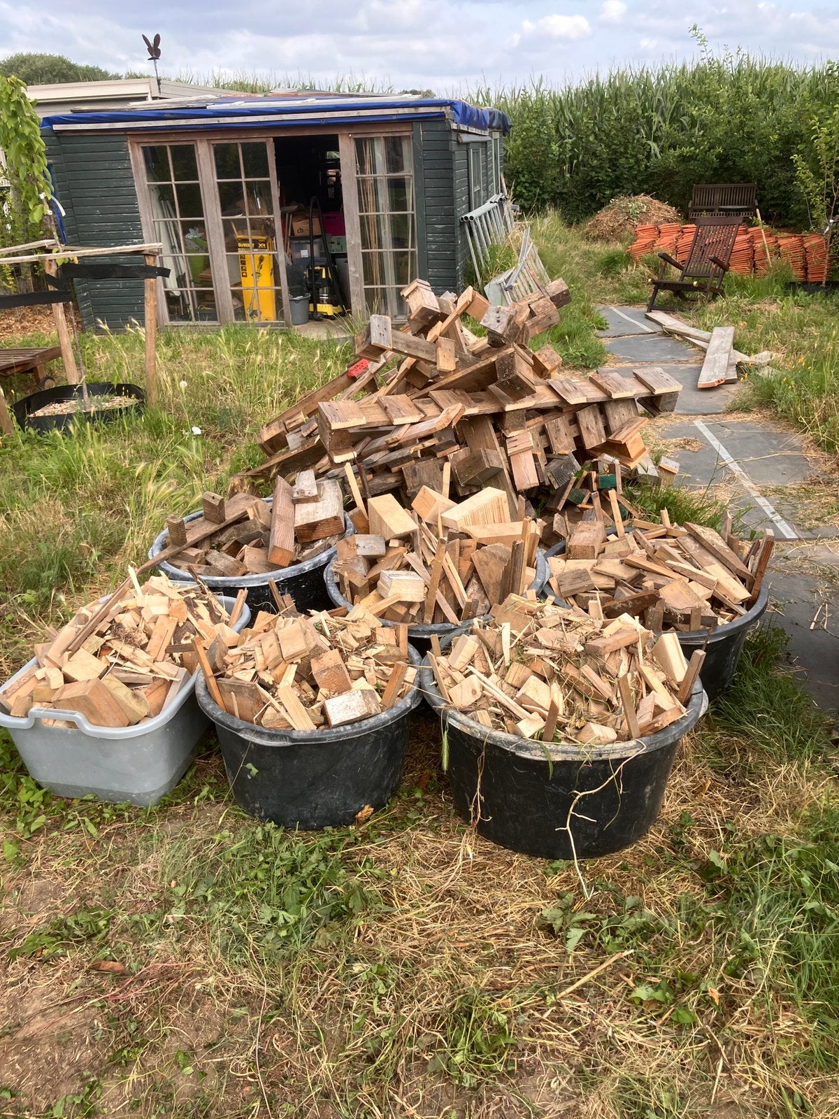 Droog brandhout - GRATIS!, Tuin en Terras, Minder dan 3 m³, Ophalen, Overige houtsoorten, Blokken