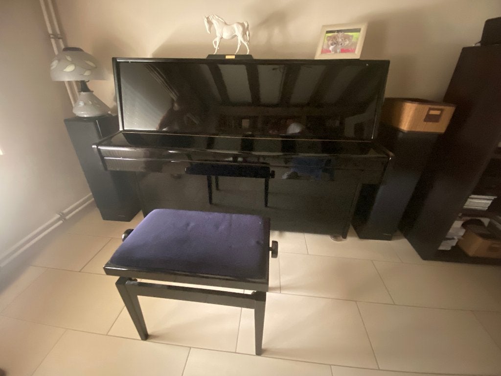 buffet piano, Musique & Instruments, Pianos, Brillant, Enlèvement, Utilisé, Piano