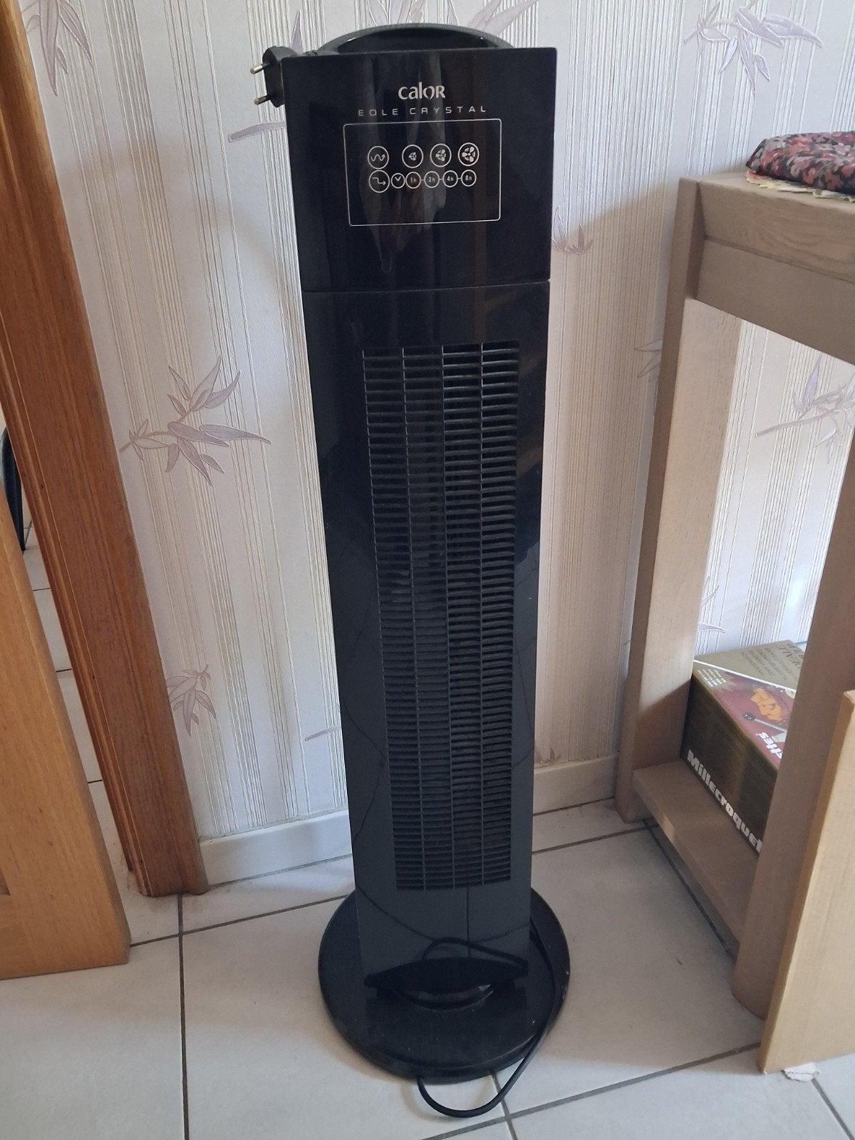Ventilateur colonne, Electroménager, Enlèvement