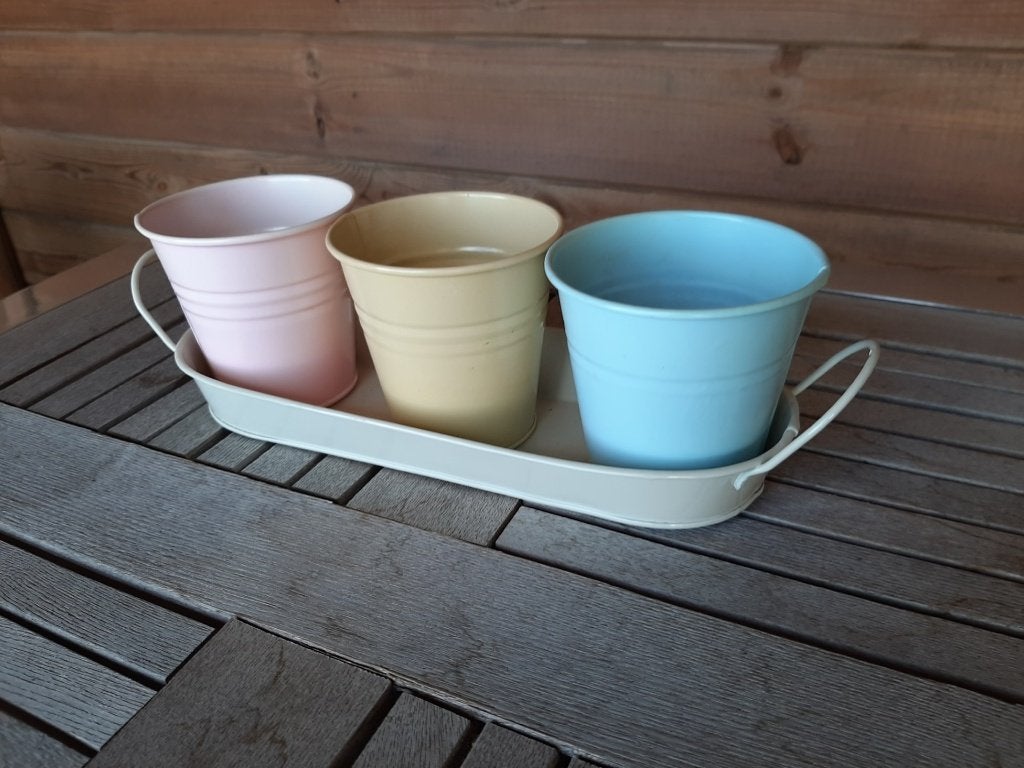 Set van 3 aromatische kruidenpotten van metaal met dienblad, Maison & Meubles, Accessoires pour la Maison | Plateaux, Autres types