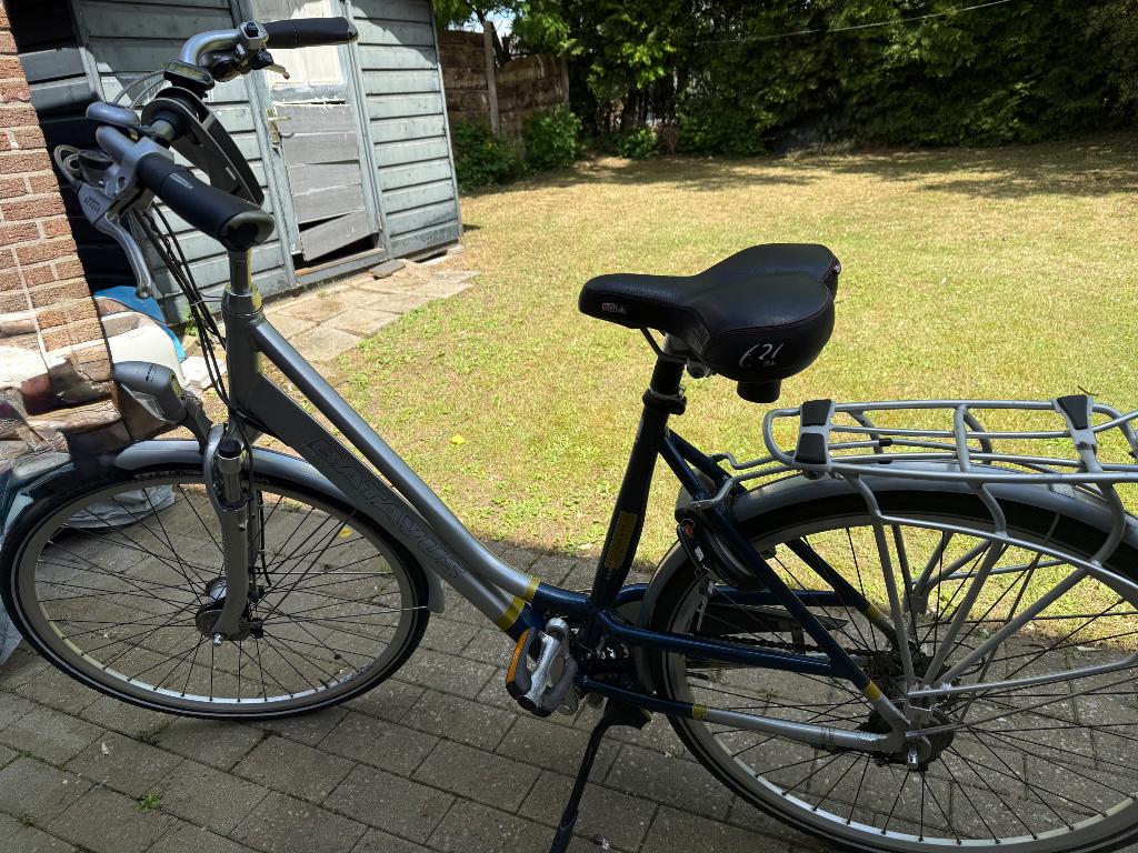 Damesfiets Batavus, Fietsen en Brommers, Ophalen, Velgrem, Versnellingen, Batavus